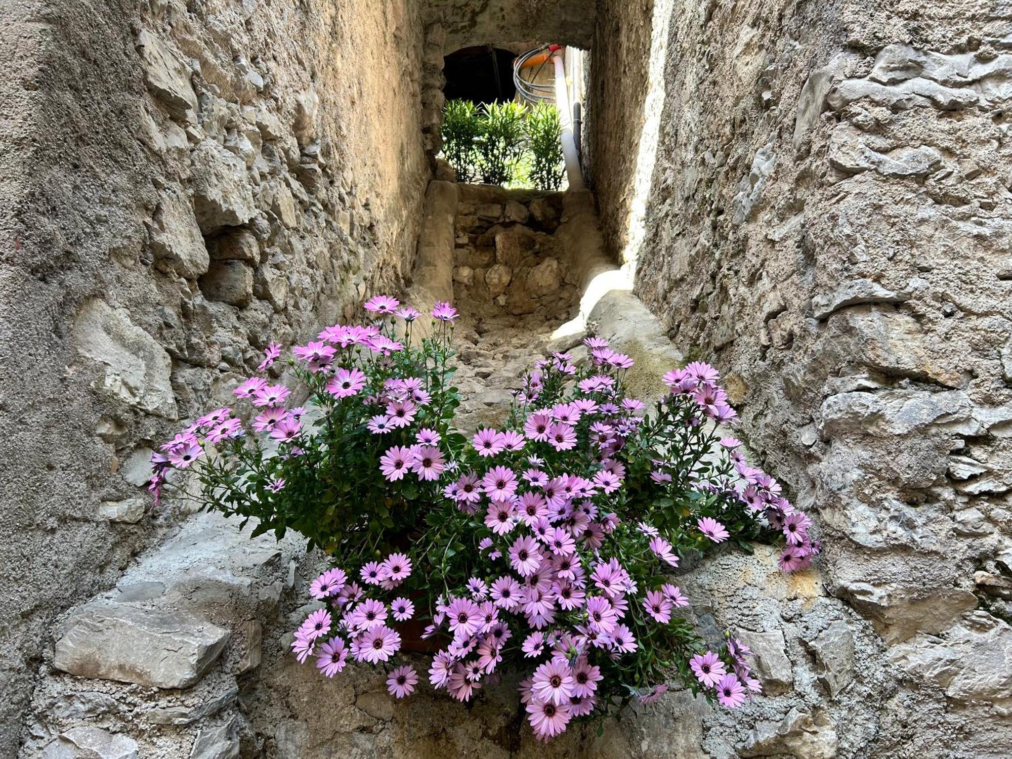 Studios Al Castello Dei Limoni Limone sul Garda Buitenkant foto